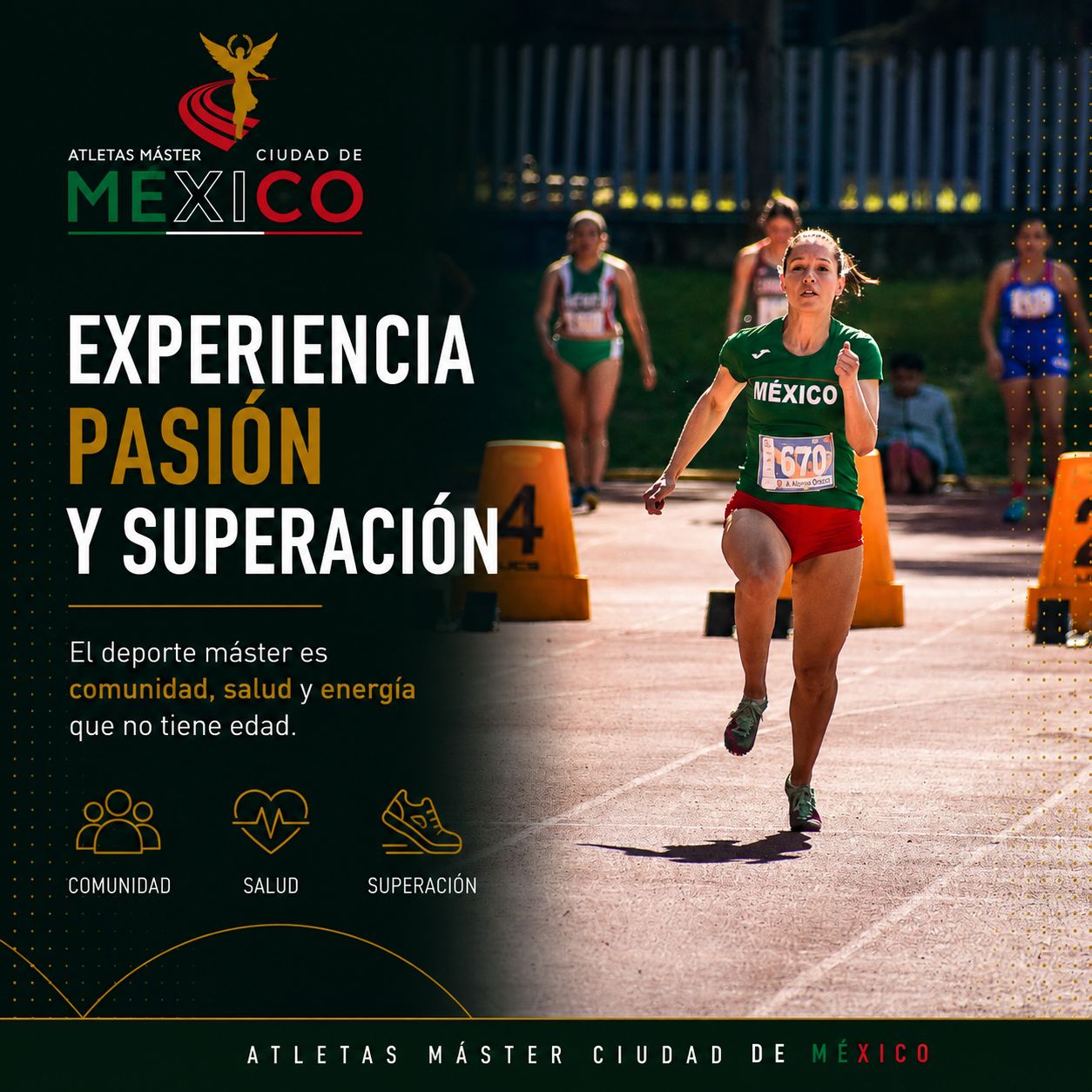 Neuroplasticidad y deporte: cómo el cerebro continúa aprendiendo movimientos complejos durante toda la vida